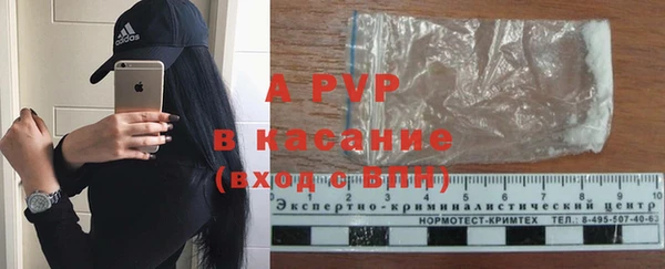 стафф Богородицк